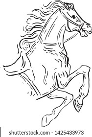 Horse portrait scetch hand draw