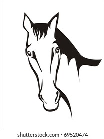 horse portrait in simple black lines
