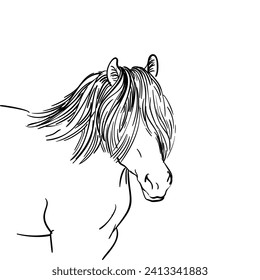 Horse portrait sketch with long mane covered eyes, North Swedish Horse breed, Vector Hand drawn illustration