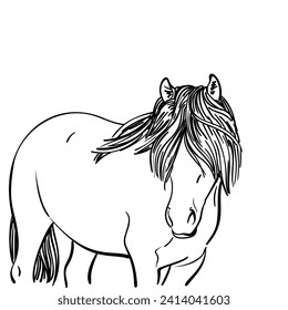 Horse portrait sketch, muzzle covered with long mane, North Swedish Horse breed, Vector Hand drawn illustration