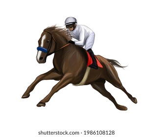 Horse racing with a jockey from splash of watercolors, colored drawing, realistic, Horseback riding. Vector illustration of paints