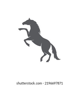 Horse realistic silhouette logo design. Horse pictogram. Side view of horse. Vector illustration. Horse Icon Silhouette 