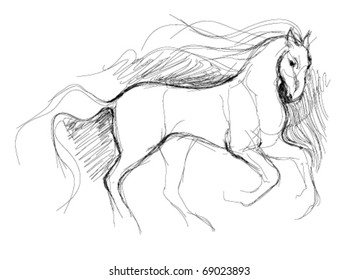 Horse / realistic sketch (not auto-traced)