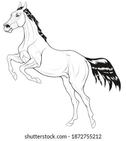 Horse reared before jumping. Prancing stallion pricked up its ears and prepared to overcome an obstacle. Black and white vector design element for equestrian goods and coloring books.