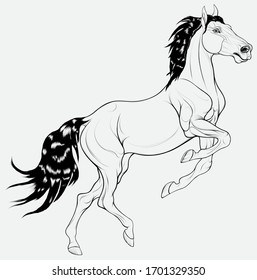 Horse reared and bent its front legs. Prancing stallion pricked up its ears and stared ahead with dilated nostrils. Vector design element for coloring books.