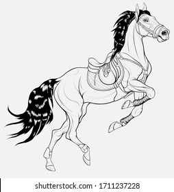 Horse Reared And Bent Its Front Legs Bandaged With Polo Wraps. Stallion Dressed In Sport Tack Including Saddle, Snaffle Bit Bridle. Linear Vector Clip Art For Equestrian Goods. 