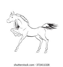 Running Horse Sketch Line Drawing On Stock Vector (Royalty Free) 312477722