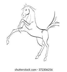 the horse reared, drawing, vector drawings izoliorovanny symbol, logo icon