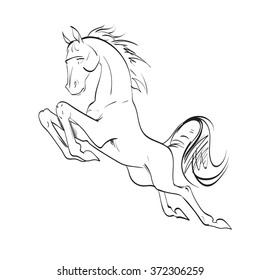 the horse reared, drawing, vector drawings izoliorovanny symbol, logo icon