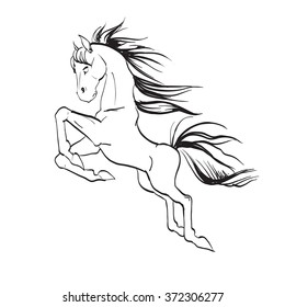 the horse reared, drawing, vector drawings izoliorovanny symbol, logo icon