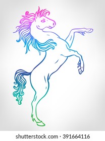 Horse reared. Vector illustration. Coloring book pages for kids and adults. Rainbow colored outline. 