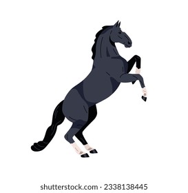 Horse in rearing pose, standing up on hind legs. Wild stallion, beautiful mustang in gorgeous position. Steed in motion, side view, profile. Flat vector illustration isolated on white background