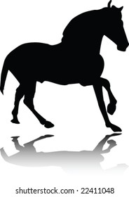 horse with reflection - vector