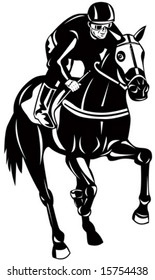 Horse and rider