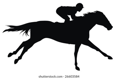Horse and rider