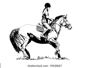 Bullfighter On Horse Bull During Corrida Stock Vector (Royalty Free ...