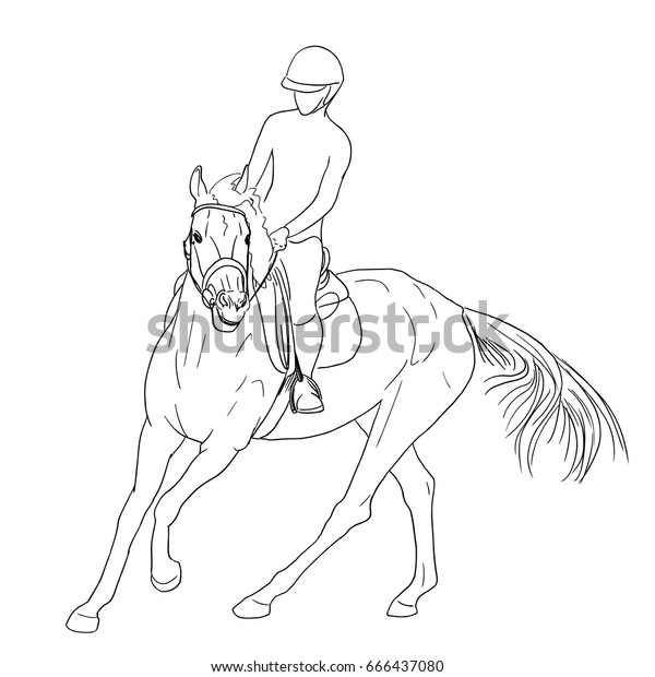 Horse Rider Line Art Illustration Equestrian Stock Vector (Royalty Free ...