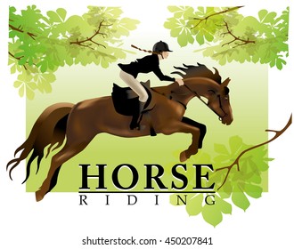 Horse and Rider realistic vector illustration. Isolated on white background. Horse Riding competition.