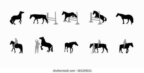Horse with a Rider Runs, Hops, Gallops.