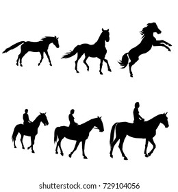 horse with a rider silhouettes vector 