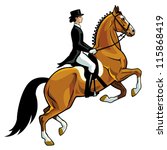 horse rider,dressage,equestrian sport,vector image isolated on white background,side view picture