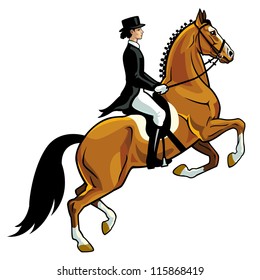 horse rider,dressage,equestrian sport,vector image isolated on white background,side view picture