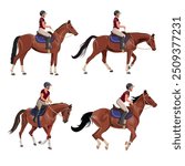 Horse riders set. Equestrian or horseback riding. Vector illustration isolated on a white background in a realistic style