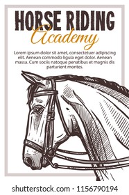 Horse riding academy vector hand drawn poster. Sketch illustration