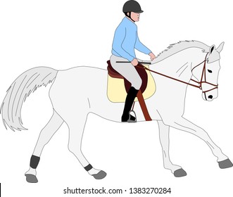 horse riding colored illustration - vector