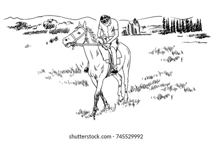 horse riding in the fields sketch vector illustration, young guy rider resting on horseback isolated