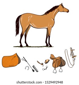 Horse Riding Gear Tools Set. Bridle, Saddle, Stirrup, Brush, Bit, Snaffle, Harness, Supplies, Whip Equine Equipments. Hand Drawing Cartoon Vector Equestrian Sport Riding Tack. Horseback Riding Element