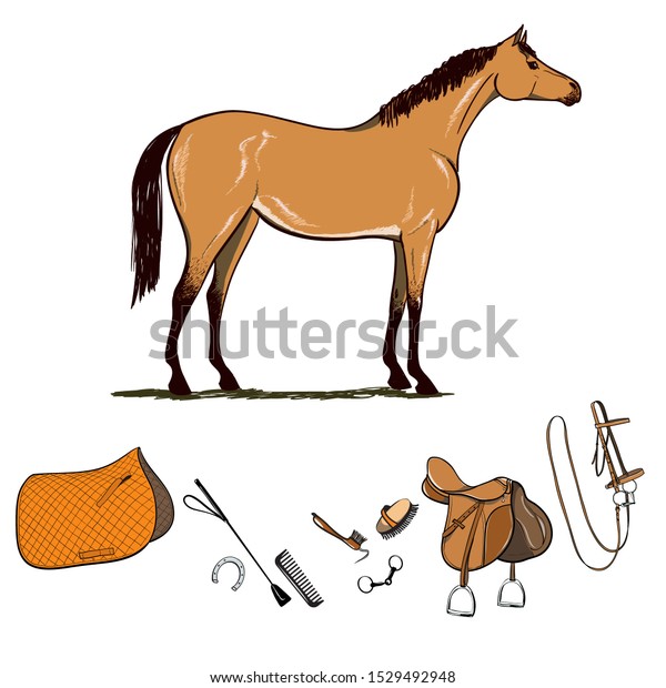 horseback riding supplies