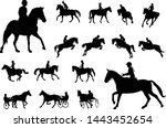 horse riding silhouettes collection. Equestrian sport and recreation silhouettes - vector