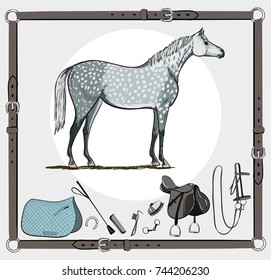 Horse and riding tack tools in leather belt frame. Bridle, saddle, stirrup, brush, bit, harness, whip equine harness equipments. Hand drawing cartoon vector equestrian sport equestrian background set.