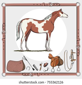 Horse and riding tack tools in leather belt frame. Bridle, saddle, stirrup, brush, bit, harness, whip equine harness equipments. Hand drawing cartoon vector equestrian sport equestrian background set.