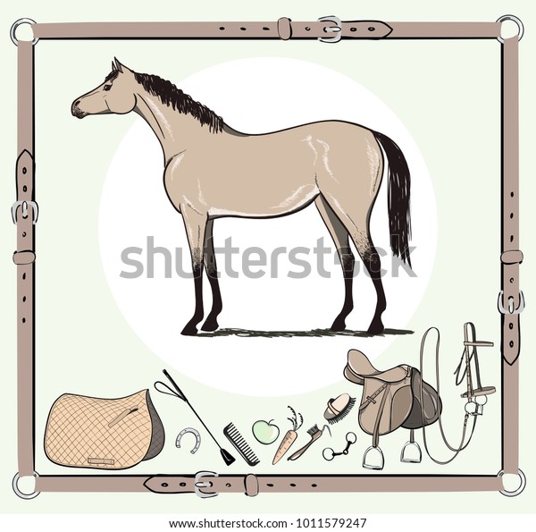 horse riding tools