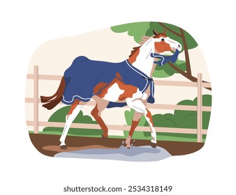 Rasgando caballos, arrancando alfombras. Semental travieso y desobediente. Mal comportamiento equino. Travieso y tonto corcel dañando, mordiendo manta, sábana. Ilustración vectorial plana aislada sobre fondo blanco