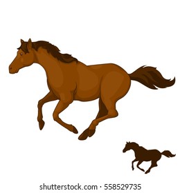 Horse run 2