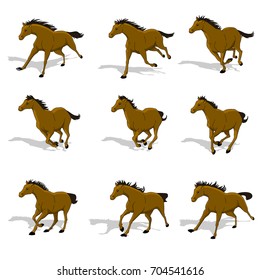 Horse Run Cycle Animation Stock Vector (Royalty Free) 712211203