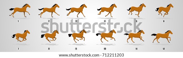 アニメーション用の馬の走行サイクル のベクター画像素材 ロイヤリティフリー