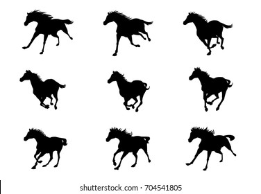 Mustang Horse Images, Stock Photos & Vectors | Shutterstock