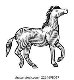 Horse run isolated on white background. Hand drawn engraving style vector, sketch 