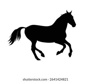Horse run silhouette black background with white isolated