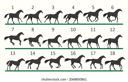 Horse running animation. Eighteen key positions of horse running. Vector illustration isolated on white background.