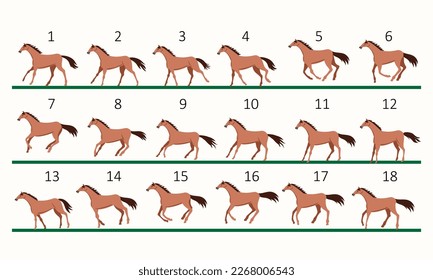 Animación de carreras de caballos. Dieciocho posiciones clave de carreras de caballos. Ilustración vectorial aislada en fondo blanco. Caballos marrones.