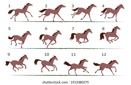 Animación de carreras de caballos. Doce posiciones clave de carreras de caballos. Ilustración vectorial aislada en fondo blanco.