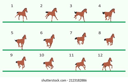 Horse running animation. Twelve key positions of horse running. Three-quarter view. Vector illustration isolated on white background.