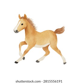 Horse running fast with mane flowing