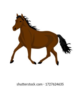 Horse Running Outdoor Illustration Vector Stock Vector (Royalty Free ...