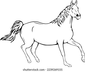 Horse running, outline vector illustration design 